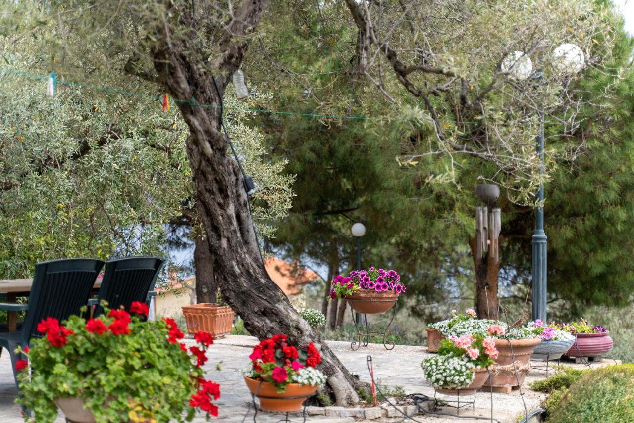 Villa Elia Kavala - Mediterranean Holiday Villa PalaiónTsiflíkion Dış mekan fotoğraf
