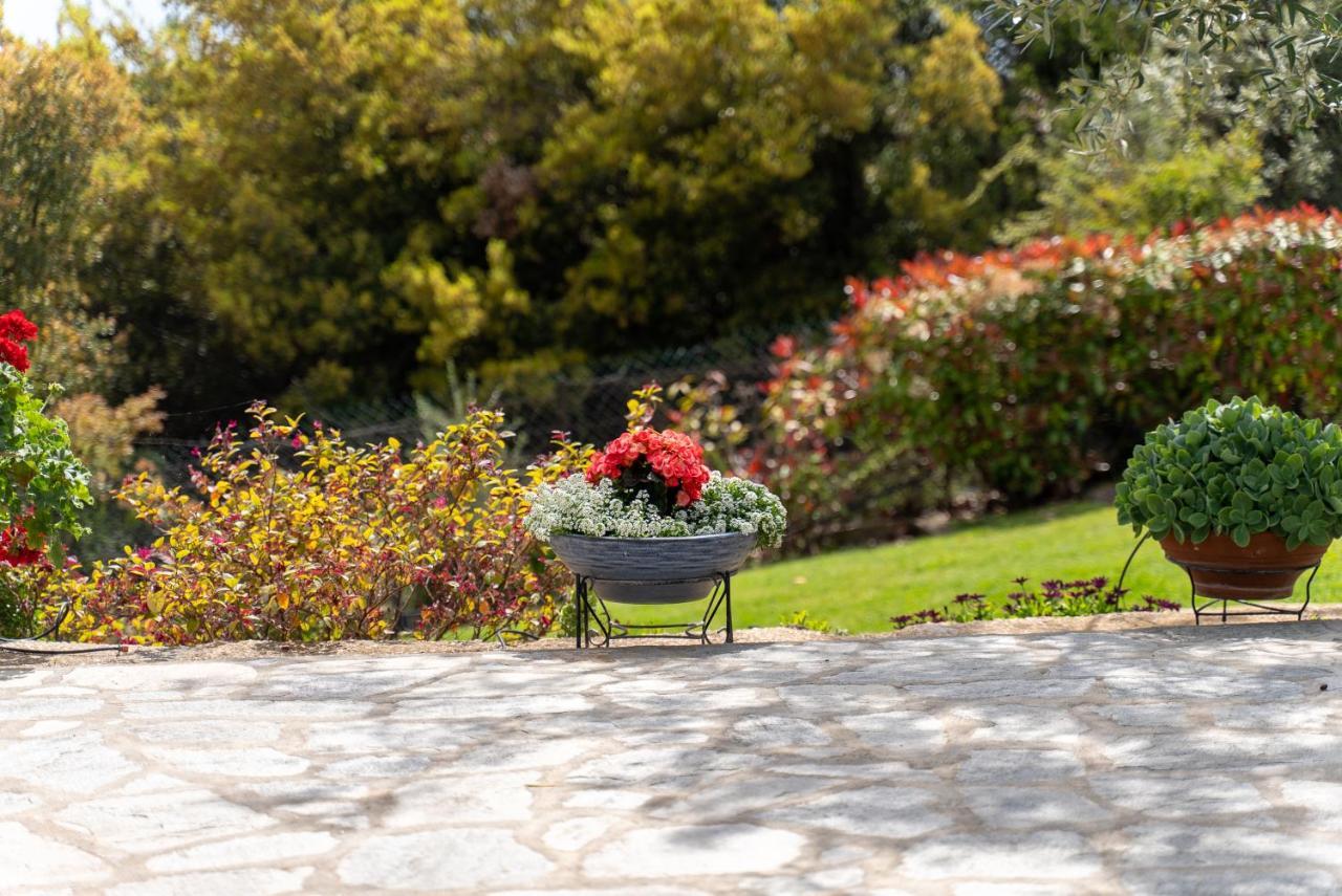 Villa Elia Kavala - Mediterranean Holiday Villa PalaiónTsiflíkion Dış mekan fotoğraf