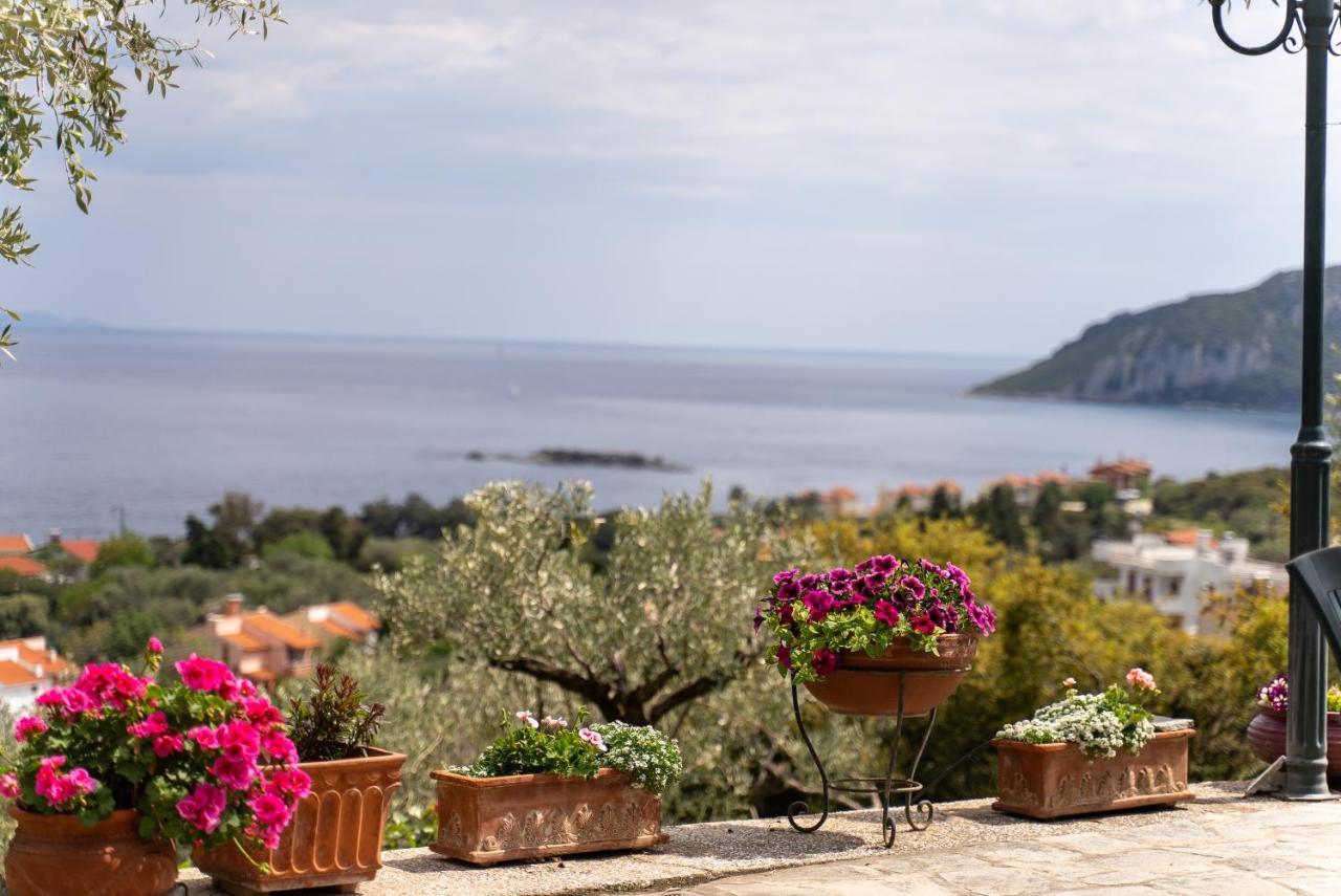 Villa Elia Kavala - Mediterranean Holiday Villa PalaiónTsiflíkion Dış mekan fotoğraf