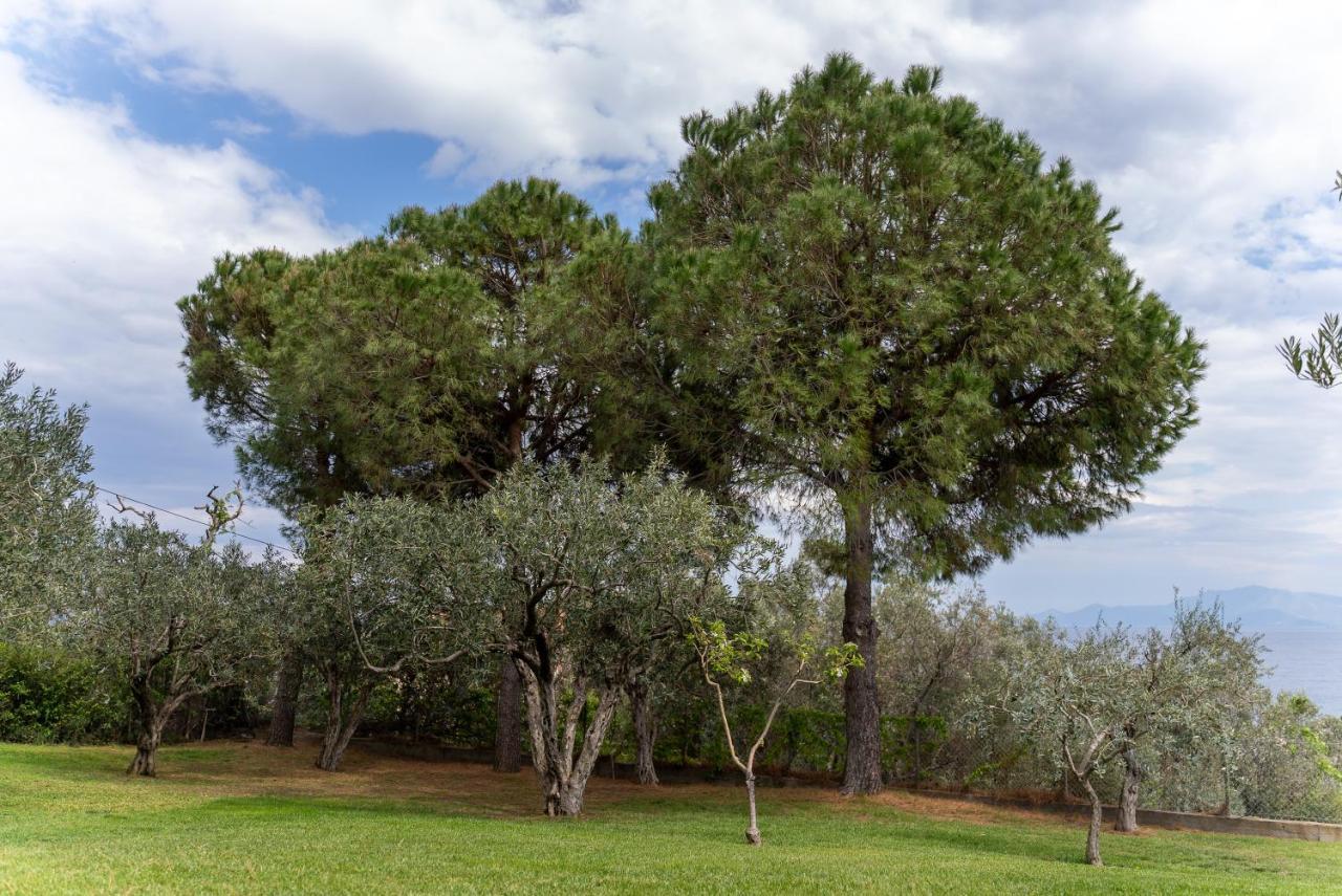 Villa Elia Kavala - Mediterranean Holiday Villa PalaiónTsiflíkion Dış mekan fotoğraf