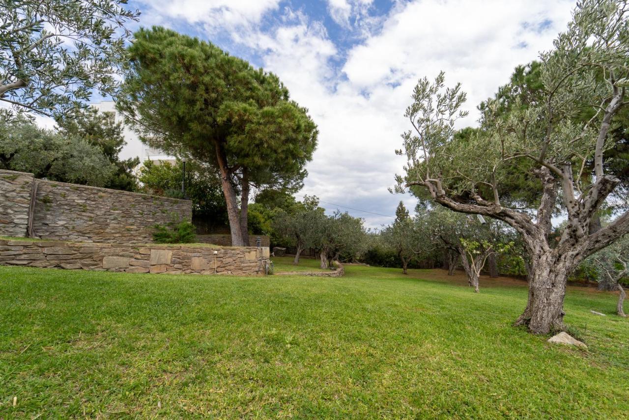 Villa Elia Kavala - Mediterranean Holiday Villa PalaiónTsiflíkion Dış mekan fotoğraf