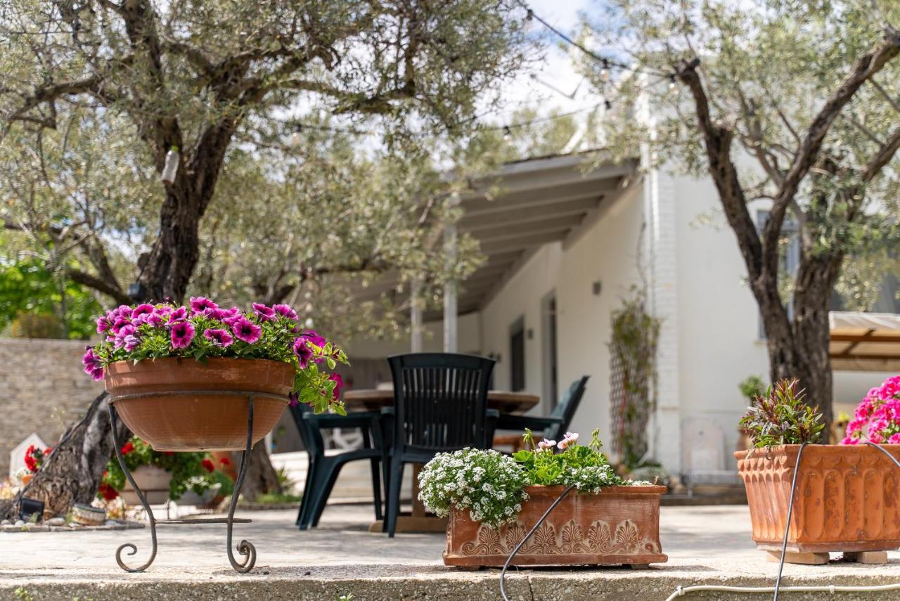 Villa Elia Kavala - Mediterranean Holiday Villa PalaiónTsiflíkion Dış mekan fotoğraf
