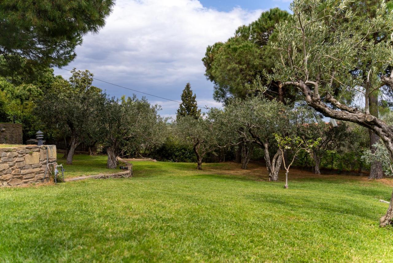 Villa Elia Kavala - Mediterranean Holiday Villa PalaiónTsiflíkion Dış mekan fotoğraf